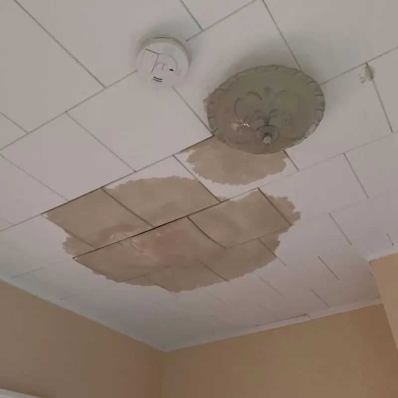 Ceiling Water Damage Repair in Hickory, NC