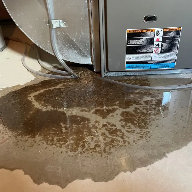 Pipe Burst and Leak Restoration in Hickory, NC